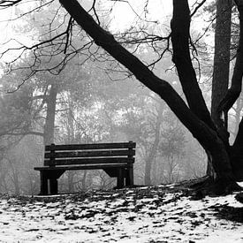 bench in the snow sur Miranda Auwens