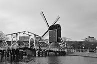 Mill in Leiden, Netherlands by Fraukje Vonk thumbnail
