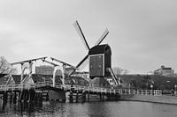 Molen De Put in Leiden