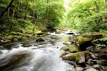 De rivier de Bode bij Thale in het Harzgebergte van Heiko Kueverling