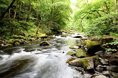 De rivier de Bode bij Thale in het Harzgebergte