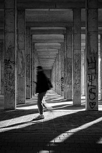 Urban Greys