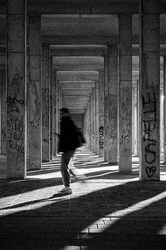 Urban Greys