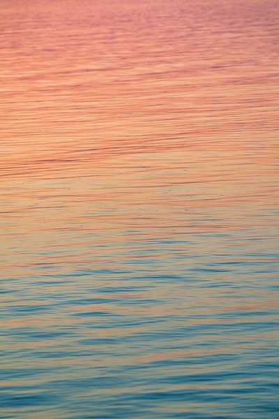 Regenboogkleuren in het water bij zonsondergang. Bij het Balatonmeer in Hongarije met kalm water van Daniel Pahmeier