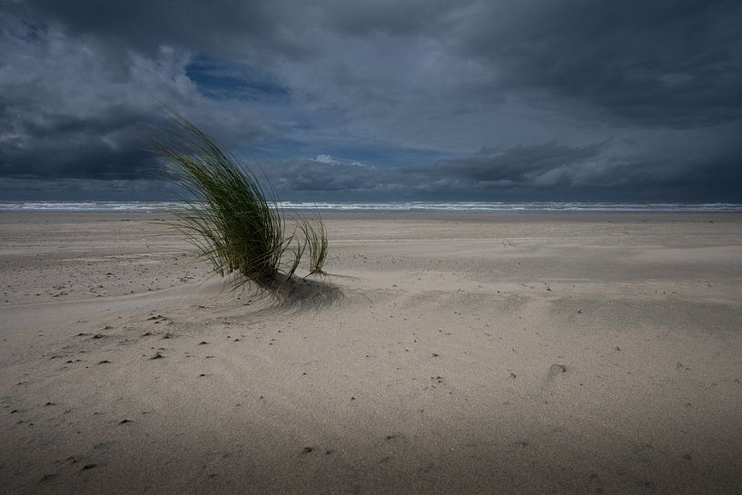 Nach dem Regen von Peter Bartelings