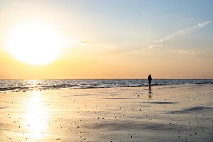 Strandwandelaar met zonsondergang