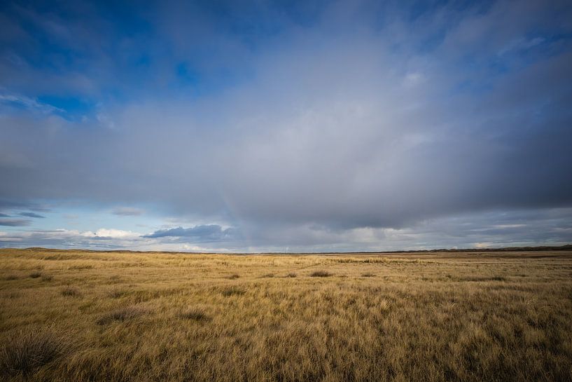 Wolkendecke über Grasland von Thijs Schouten