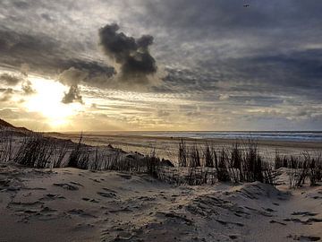 Texel Strand von Danielle Bosschaart