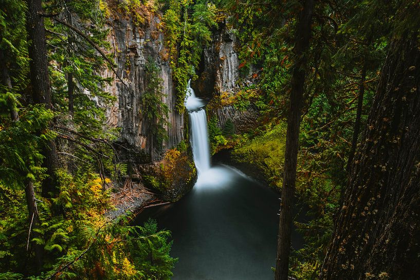 Cascade de Toketee par Maikel Claassen Fotografie