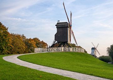 Windmühlen von Brügge, Flandern, Belgien von Alexander Ludwig