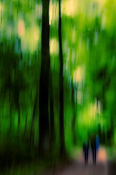 Promenade en forêt sur Dieter Walther