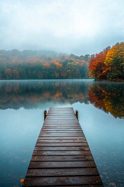 Autumnal footbridge by Poster Art Shop