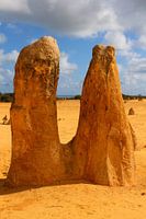 Kalkstenen zuilen in Nambung National Park, West-Australië