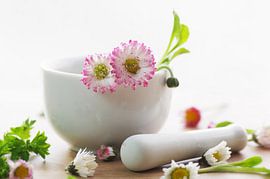 Cuisine aux herbes sauvages sur Tanja Riedel