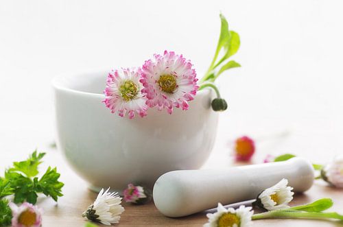 Cuisine aux herbes sauvages