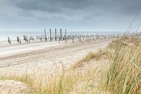 Strand bij Palendorp Petten