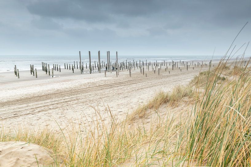 Beach near Palendorp Petten by Ruud Engels