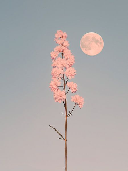 Mondblume in Pastell von Thea