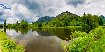 Vijver in het moeras bij Oberstdorf van Walter G. Allgöwer