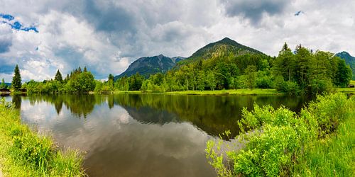 Vijver in het moeras bij Oberstdorf