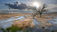 Engbertsdijksvenen Twente van Frans Nijland thumbnail