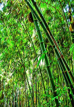 Bamboe in Jardin Majorelle Marrakech 1 van Dorothy Berry-Lound