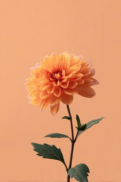 Dahlia in Soft Glow Orange Elegance by Eva Lee