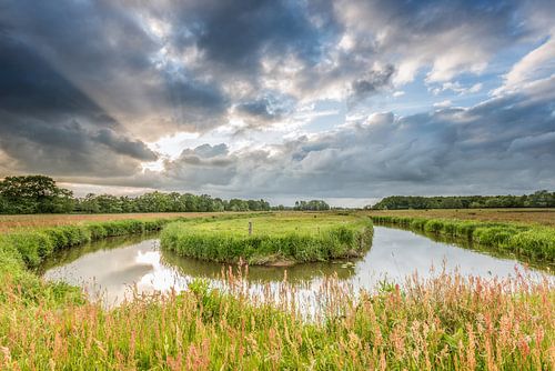Mäandernde Drentse Aa bei Tynaarlo