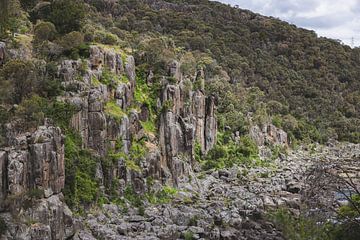 Cataract Gorge: Launceston's Natuurlijke Oase van Ken Tempelers