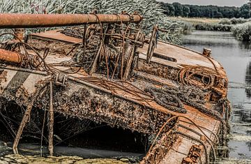 Shipwreck by Ans Bastiaanssen