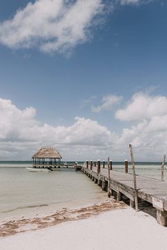 Schöner Strand in Mexiko | Holbox von Roanna Fotografie