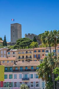 CANNES Musée de la Castre sur Melanie Viola