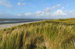 Strand van het Waddeneiland Vlieland van Sjoerd van der Wal Fotografie