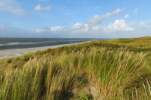 Strand van het Waddeneiland Vlieland