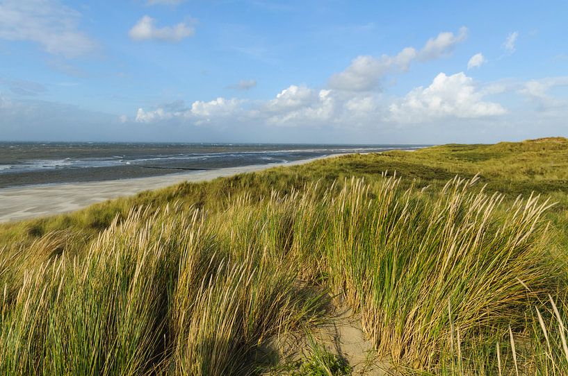 Strand van het Waddeneiland Vlieland van Sjoerd van der Wal Fotografie
