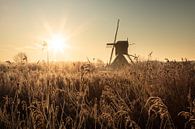 Windmühlen sonnenaufgang in Holland von Claire Droppert Miniaturansicht