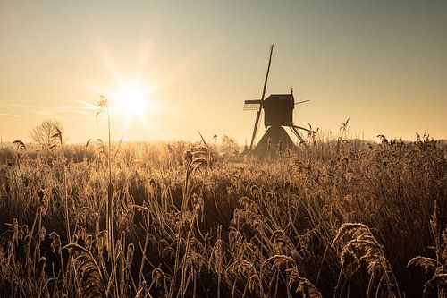 Windmill sunrise in Holland