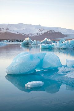 Jökulsárlón Gletsjer meer met ijsschots, Ijsland van Elles van der Veen