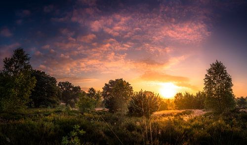 Sunrise national park Sallandse heuvelrug