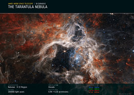 The Tarantula Nebula | 30 Doradus | James Webb Space Telescope