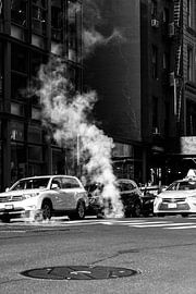 Typical New York von Jeanette van Starkenburg