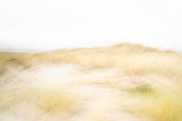Die Dünen auf Ameland in ICM - 3 von Danny Budts