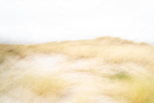 The dunes on Ameland in ICM - 3