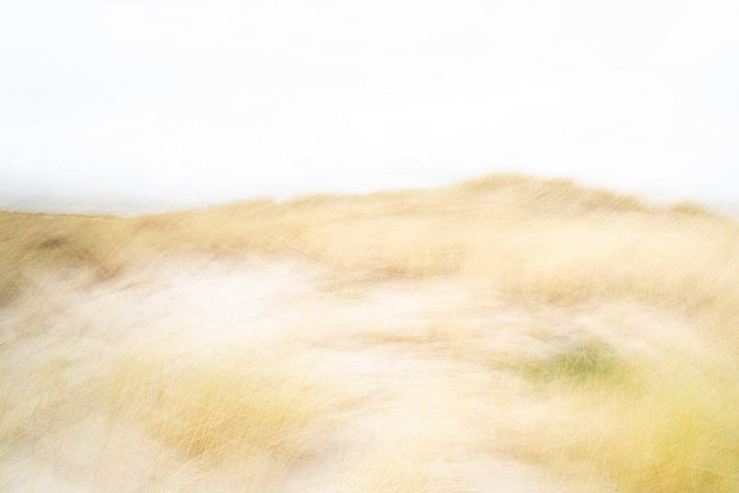 Die Dünen auf Ameland in ICM - 3 von Danny Budts