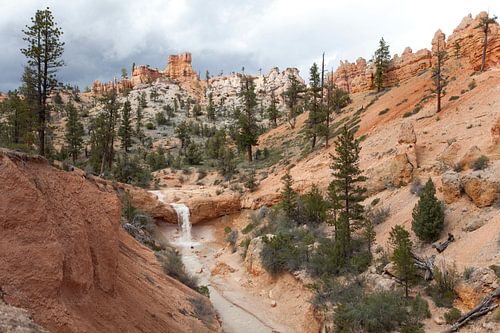 Bryce National Park