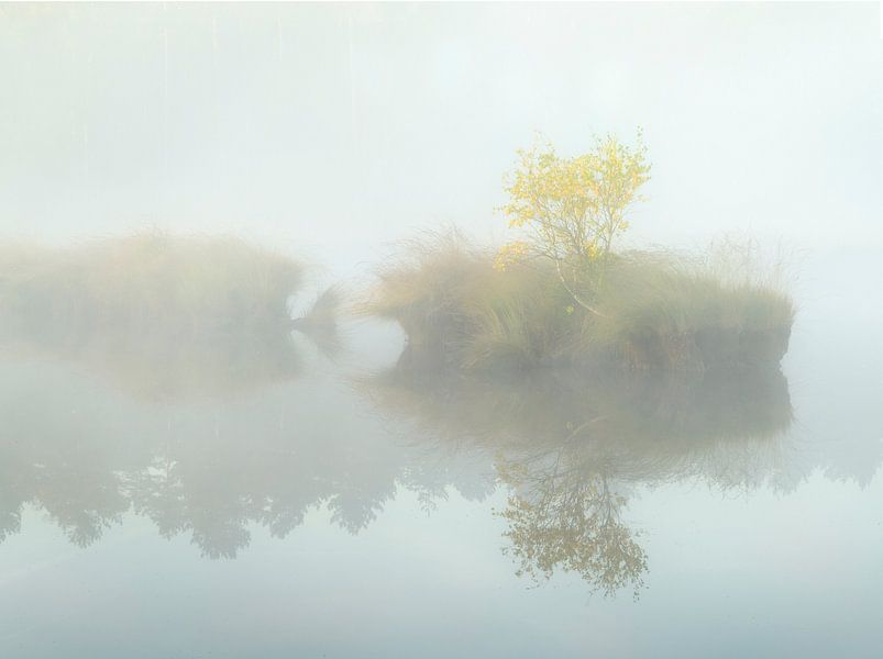 Ile avec arbre dans la brume. par Jos Pannekoek