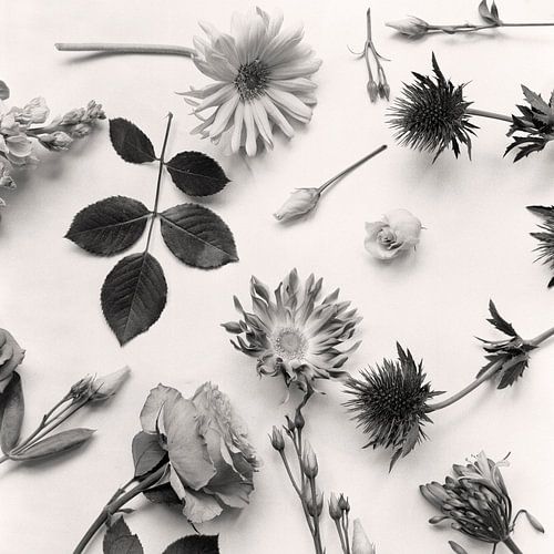 Collage de fleurs en noir et blanc