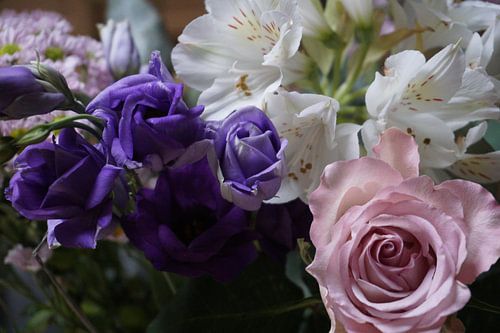 Blumen von Kimberly Van Muylder