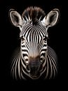 Zebra by Luc V. de Zeeuw thumbnail
