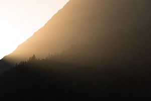 Zon, bergen, bomen.